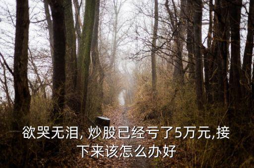 欲哭無淚, 炒股已經虧了5萬元,接下來該怎么辦好
