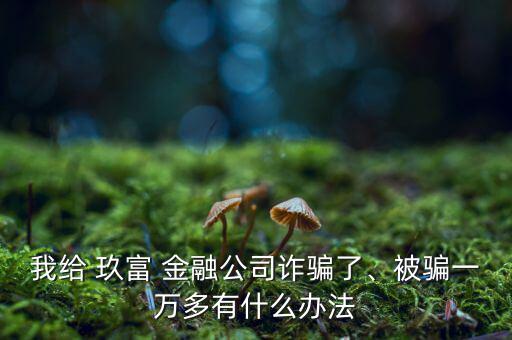 我給 玖富 金融公司詐騙了、被騙一萬多有什么辦法