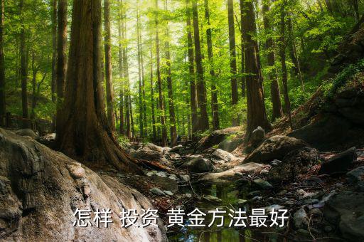 怎么投資實(shí)物黃金,黃金投資須謹(jǐn)慎