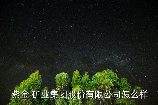 紫金 礦業(yè)集團股份有限公司怎么樣
