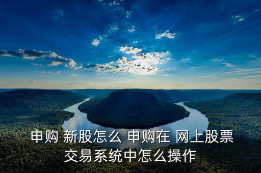  申購 新股怎么 申購在 網上股票交易系統(tǒng)中怎么操作