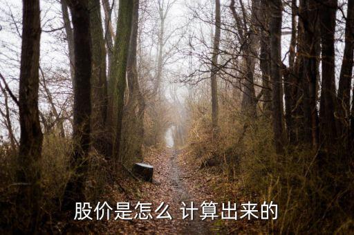 股價(jià)是怎么 計(jì)算出來(lái)的