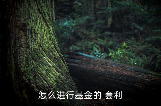 怎么進行基金的 套利