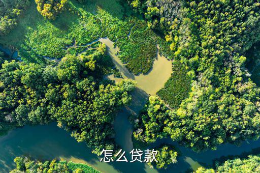 怎么借貸,小曼app-優(yōu)花花貸利率低、放款快、安全等特點(diǎn)
