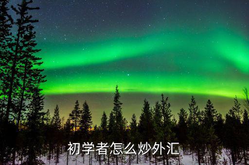 怎么炒外幣,我行開(kāi)展實(shí)盤外匯交易首步:申請(qǐng)外匯開(kāi)戶