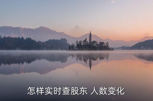 怎樣實時查股東 人數變化