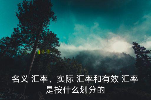 名義 匯率、實(shí)際 匯率和有效 匯率是按什么劃分的