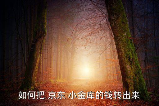 京東小金庫怎么提現,東京小金庫如何轉出?