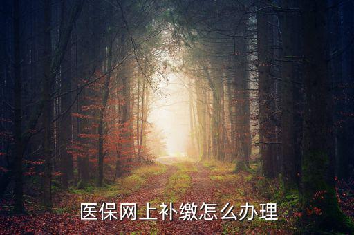 怎么補交醫(yī)保,因個人原因斷了社?？缮暾埞緸樽约豪U納費用