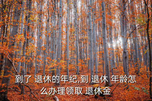 夠退休年齡怎么辦,退休-1/怎么辦?
