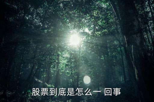 股票到底是怎么一 回事