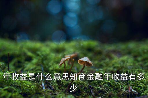 資金占用年收益是什么意思，利息支出中有個資金占用費這個是什么意思