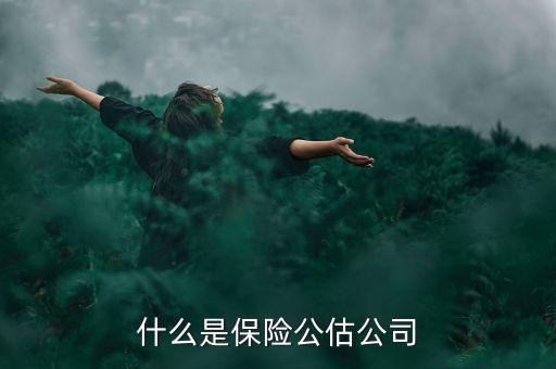 什么是承保公估，保險中的公估是什么概念