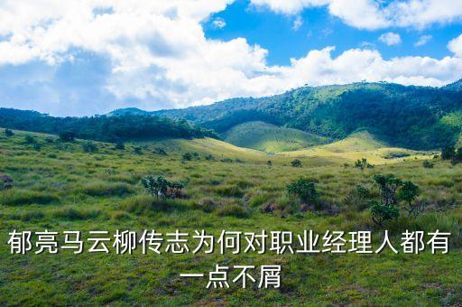 郁亮馬云柳傳志為何對職業(yè)經(jīng)理人都有一點不屑