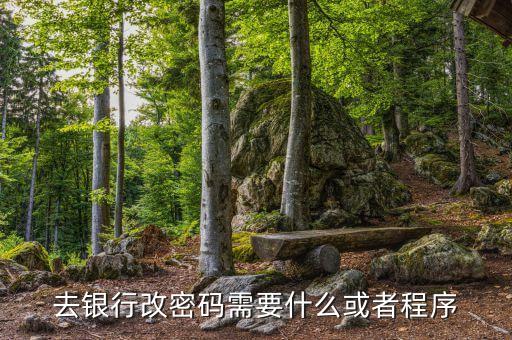 銀行卡改密碼需要什么，改銀行卡密碼要有哪些條件