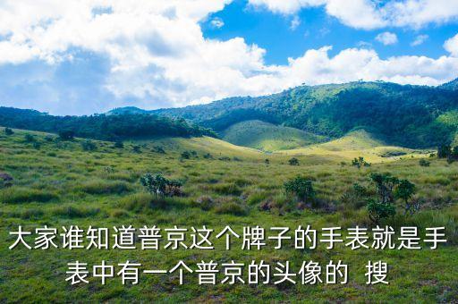 普京皮帶是什么牌子，大家誰(shuí)知道普京這個(gè)牌子的手表就是手表中有一個(gè)普京的頭像的  搜