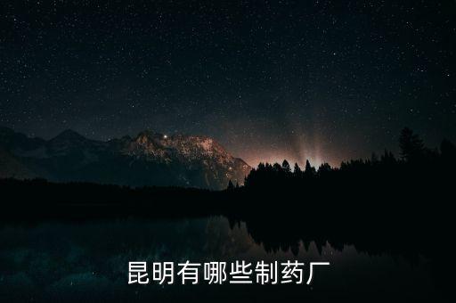 昆藥全資子公司都有什么，昆明有哪些制藥廠