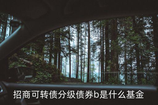 轉(zhuǎn)債b級是什么，招商可轉(zhuǎn)債分級債券b 場內(nèi)買入 場外賣出什么意思