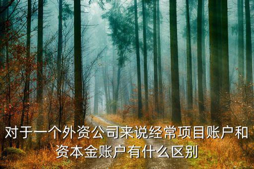 對(duì)于一個(gè)外資公司來(lái)說(shuō)經(jīng)常項(xiàng)目賬戶(hù)和資本金賬戶(hù)有什么區(qū)別