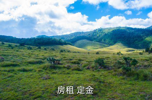 房屋租金那有什么金，什么是租房押金