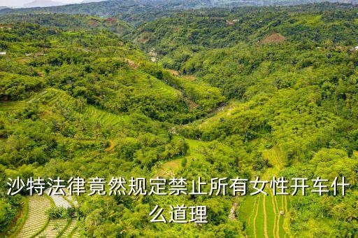 為什么沙特女人不能開車，全球唯一禁止女司機開車的是哪個國家