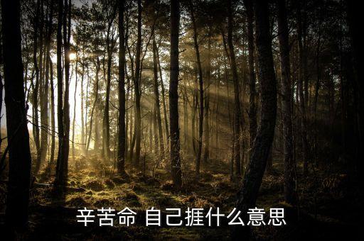 苦捱是什么意思，請問苦啷是什么意思