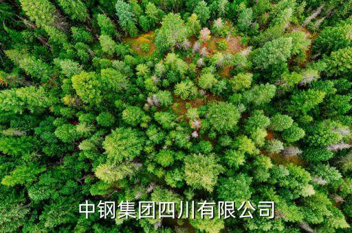 中鋼什么級別，中尉是什么等級