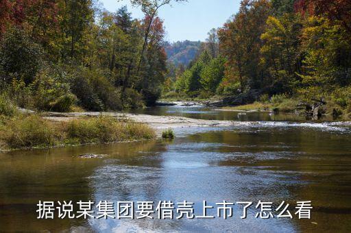 據(jù)說某集團要借殼上市了怎么看