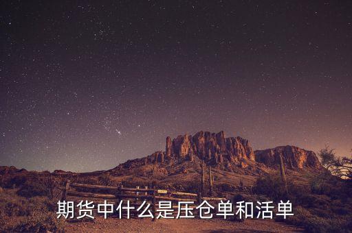 上海期貨交易所標(biāo)準(zhǔn)倉(cāng)單是什么，期貨中倉(cāng)單是什么