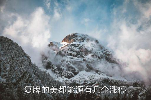 美都能源為什么停牌了，美都能源臨時(shí)停牌利好還是壞