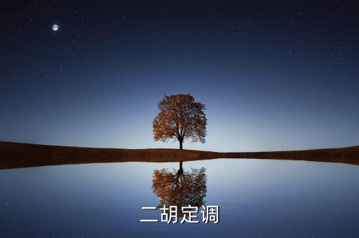定調(diào)什么意思，二胡定調(diào)