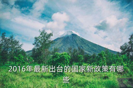 2016年什么新政策，2016年國家有什么新政策
