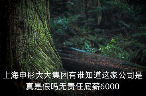 申彤大大集團(tuán)賺的什么錢(qián)發(fā)工資，上海申彤大大集團(tuán)有誰(shuí)知道這家公司是真是假嗎無(wú)責(zé)任底薪6000