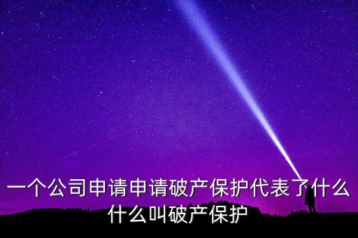 申請(qǐng)破產(chǎn)保護(hù)是什么意思，破產(chǎn)保護(hù)是什么意思