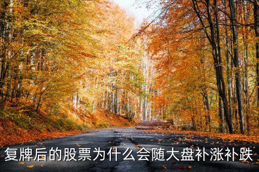 股票復(fù)牌為什么會補(bǔ)跌，復(fù)牌后的股票為什么會隨大盤補(bǔ)漲補(bǔ)跌