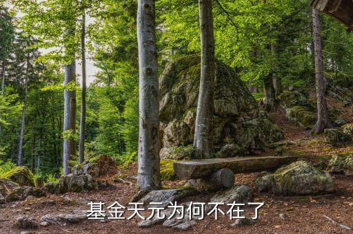 基金天元為什么停牌，基金天元為何不在了