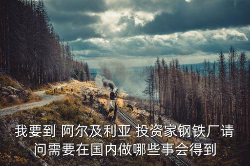 阿爾及爾投資什么好，本人打算去非洲做生意 都需要準備些什么
