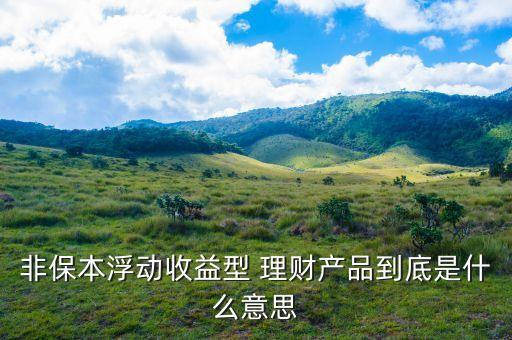 非保本理財什么意思，理財產(chǎn)品非保本是什么意思