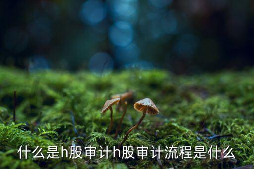 H股審計(jì)是什么意思，香港上市公司的審計(jì)與內(nèi)地審計(jì)有什么區(qū)別