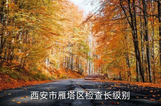 西安市正局級是什么級別，碑林分局局長級別是什么級別