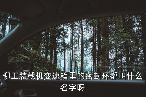 柳工836使用的什么鋼圈，柳工836配用的是什么發(fā)動機(jī)