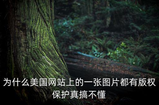 為什么國外重視版權(quán)，為什么美國網(wǎng)站上的一張圖片都有版權(quán)保護(hù)真搞不懂