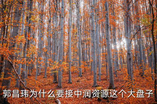 中潤資源為什么停牌，000506中潤資源停牌多久可以復(fù)牌