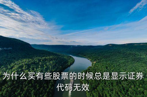 證券代碼無效什么意思，為什么買有些股票的時(shí)候總是顯示證券代碼無效