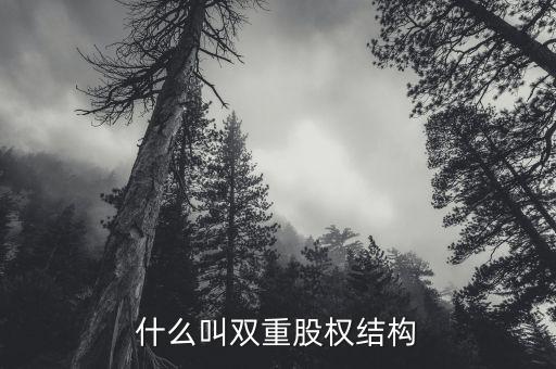 什么是雙層董事會，家長不提供學習費用能否貸款
