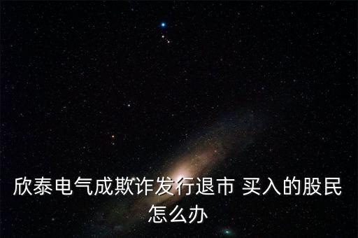 欣泰電氣成立什么公司，丹東欣泰電氣股份有限公司