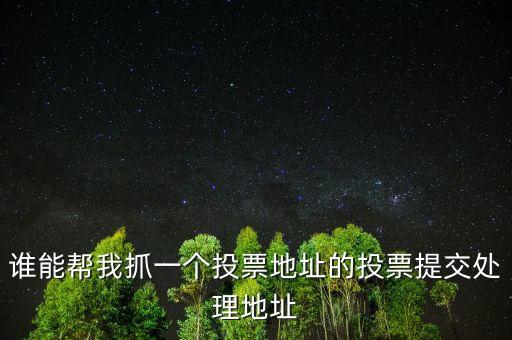 投票提交處理地址是什么，提交投票的問(wèn)題怎么處理