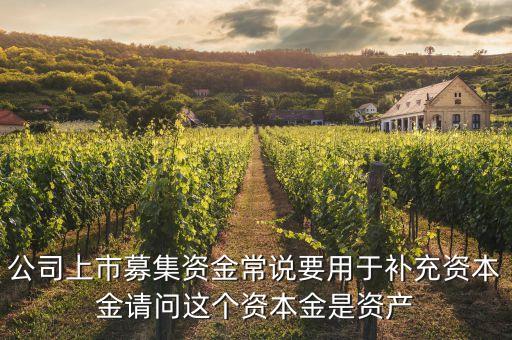 公司上市募集資金常說要用于補充資本金請問這個資本金是資產(chǎn)