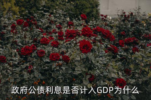 政府公債利息是什么，什么叫政府公債利息