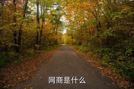 dt網(wǎng)商是什么，網(wǎng)商是什么